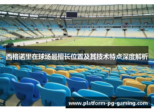 西格诺里在球场最擅长位置及其技术特点深度解析